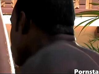 Ellen Padilha takes big cock in outdoor hardcore fucking