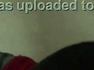 Intense pussy sucking makes her moan loudly.