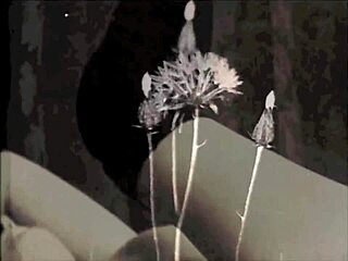 my secret life changed with hairy vintage beaver exposure!