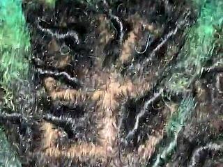 Bbw Wife Sucks Dick and Gets Fucked in Pov