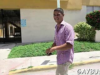 Detailed Gay Weenie Porn Scenes.