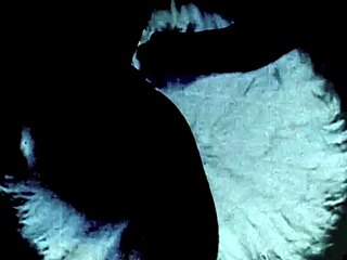 dark lantern entertainment shares vintage closeups from my secret life, diving into erotic confessions of a victorian gentleman