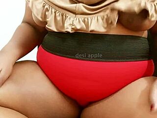 delhi chubby girl shows off her big tits