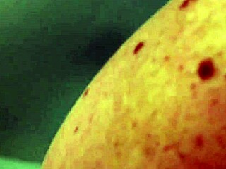 jenna jaymes performs freaky anal and blowjob acts