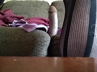 gay ladyboy shemale content 2059126512 😏