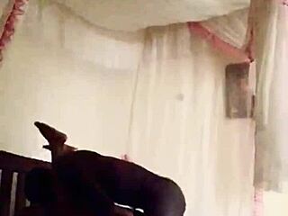 Deep throat ebony milf rides giant thick bbc