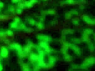 i saw this stripper girl sucking and fucking on hidden cam