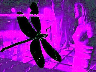 dark lantern presents the dragonfly