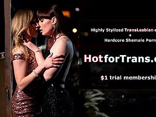 Prsatá transka Ariel Demure se vyřádí v knihovně s venkovním orálem, kdo by to čekal mezi regály?