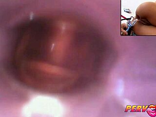 PervCity Bonnie Rotten Delivers Intense Blowjob