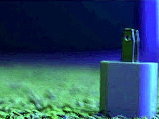 Big booty bbw nurse, expose that lying ass!