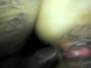 i crave that intense doggy anal with a threesome