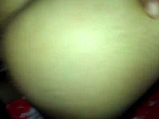 Exploring Brazilian Culture and Traditions in Depth