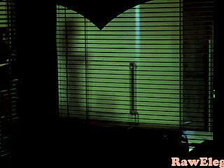 Elegant beauty gets assfucked by boyfriend