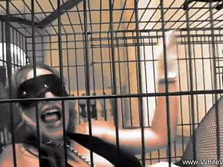 Blonde milf in interracial anal and handjob action