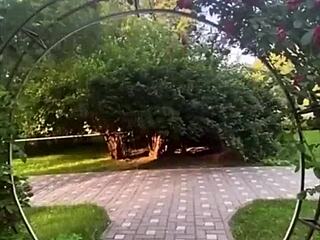 The hike in the forest ended with fucking