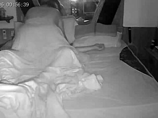 transa appearing in bbb 23 reality show