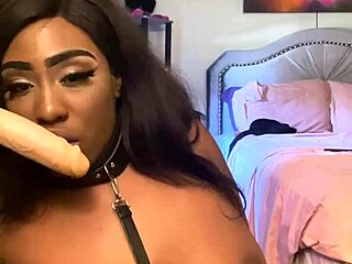 lexo butterflys shows off her skills