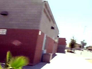 Yard Pig Gets Picked Up In The Garden.