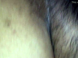 Europa Brazilera Gets Rough Fucking And Creampie