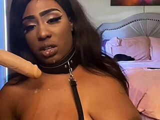 lexo butterflys shows off her skills