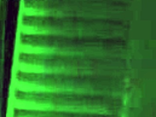 making my ass jiggle with every move