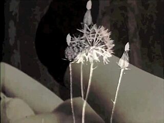 Exploring two centuries of vintage pornography in my secret life.