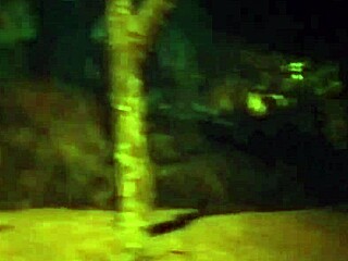 ブロンド美女たちのワイルドなアフターギャングバン