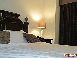 ts amy amour gives bf a blowjob