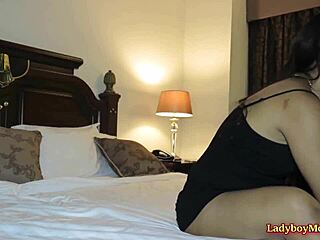 ts amy amour gives bf a blowjob