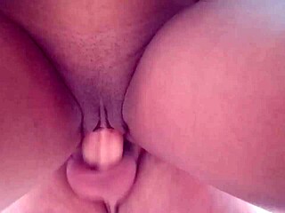 Is my cousin's wet pussy on my dick?