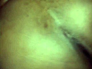 i love big booty bbw sloppy head compilations with small tits