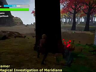 Walkthrough Magical Investigation Of Meridiana 1!