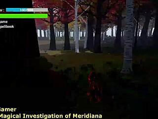 Walkthrough Magical Investigation Of Meridiana 1!
