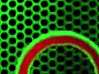 Hot lesbian milfs vibrating pussies