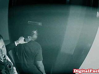 doggystyled dominant babe schooling her sub with hot moves 😈