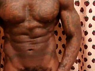 큰 검은 털난 자지 숭배 본 적 있어? Hallelujah Johnson이 순수한 혼란!