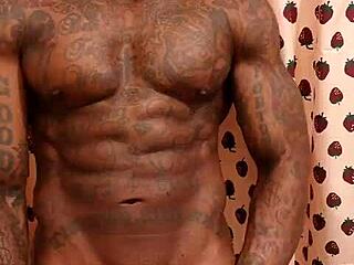 큰 검은 털난 자지 숭배 본 적 있어? Hallelujah Johnson이 순수한 혼란!