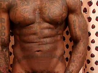 큰 검은 털난 자지 숭배 본 적 있어? Hallelujah Johnson이 순수한 혼란!