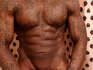 큰 검은 털난 자지 숭배 본 적 있어? Hallelujah Johnson이 순수한 혼란!