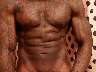 큰 검은 털난 자지 숭배 본 적 있어? Hallelujah Johnson이 순수한 혼란!