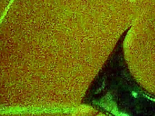 shemale porn video mmm me gustan los zapatos. punished in bdsm heels humiliation.