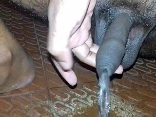 i'm mayanmandev, and this is my cute hairy sexy asian indian solo pissing video part 2, oops i said cock by mistake