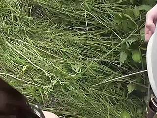 Hey, check out luke hardy giving kitty a double doggystyle ram on the roadside