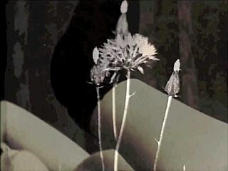 vintage taboo family step mom seducing with retro charm