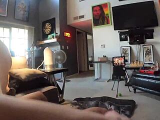 Petite Girl Rides Big Black Cock On Sofa In POV!