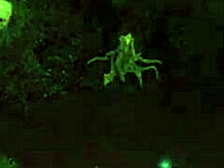 Suora MILF Bionda Scopata Forte da Cazzo Mostro in Gameplay Genesis Order 29