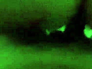 this slut grabs my cock and thrusts it in, riding hard