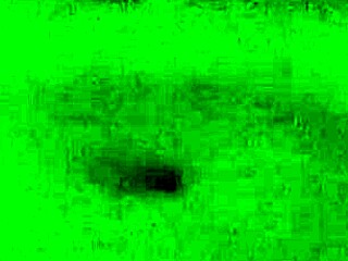 this slut grabs my cock and thrusts it in, riding hard