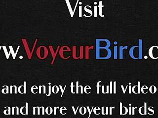 Hey, lingerie voyeurs, wanna jerk to our hot asses and tits?